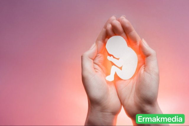 Что такое жизнь?