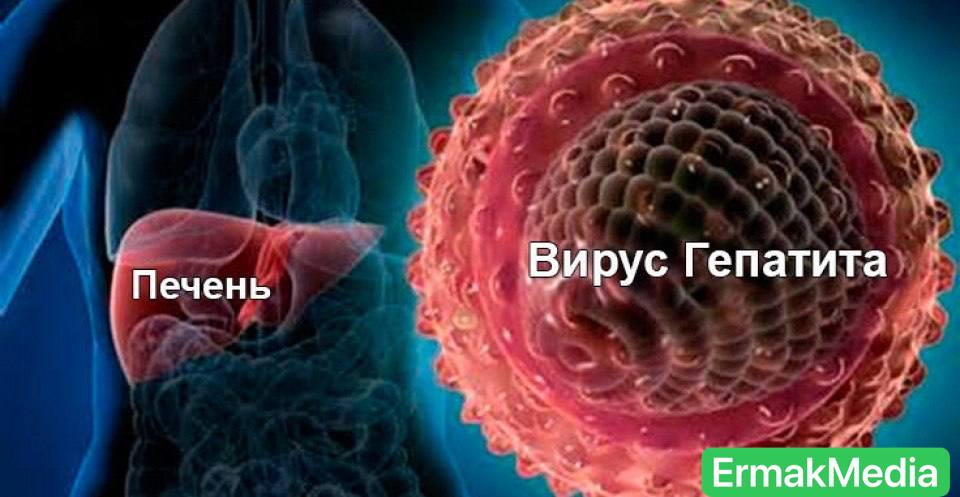 Гепатит С Гепатит С