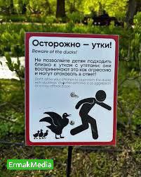 Месть пернатых Месть пернатых