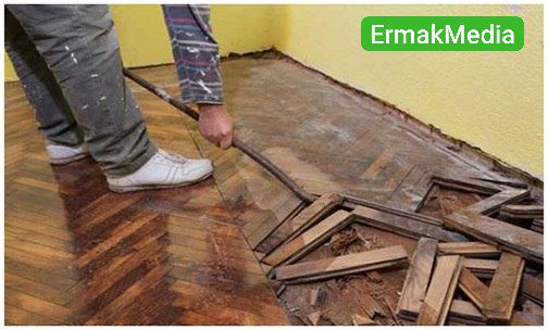 Половая жизнь культурной столицы