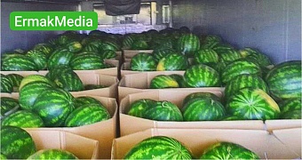 Захателось арбузика 