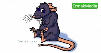 Это всё грызуны виноваты!