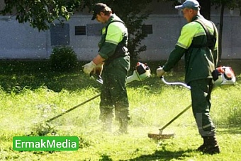 Я твой трава косил 