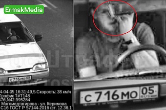 Что еще нельзя делать за рулем? 