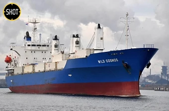 Контрабанда кокаина в Петербурге: брикеты с белым порошком были спрятаны на судне из Латвии