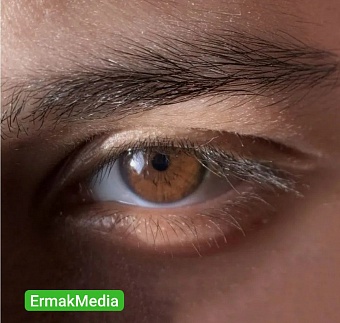 Зри в корень